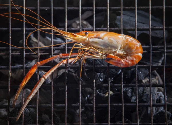 Shrimp grilled on bbq charcoal oven — Stock Photo, Image