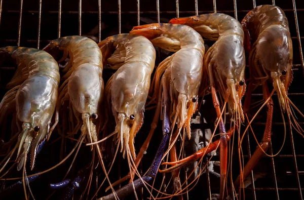 Shrimp grilled on barbeque charcoal stove — Stock Photo, Image