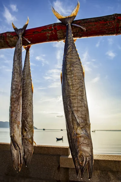 Soleil sec de maquereau poisson dans prachuap khiri khan sud de thai — Photo