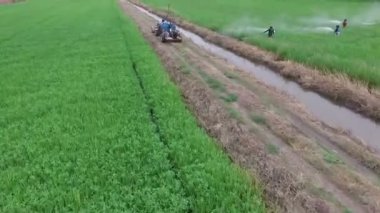 Böcek ilaçlama çiftçi