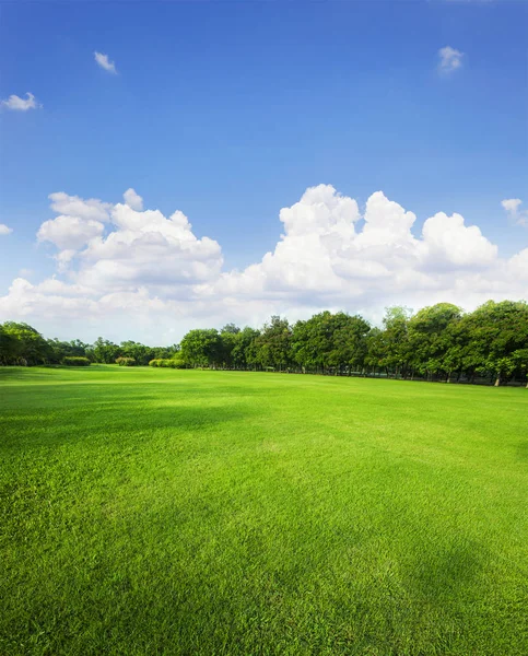 Krajobraz trawa pole i zielone otoczenie parku publicznego użytkowania — Zdjęcie stockowe