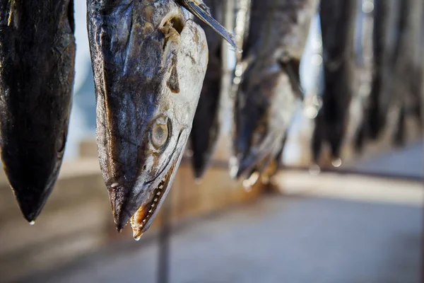 Soleil sec de maquereaux poissons dans thai village de pêcheurs prachuap khiri — Photo