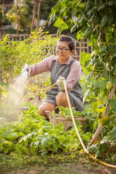 Leisure activities of asian woman in home vegetable garden — Stock Photo, Image