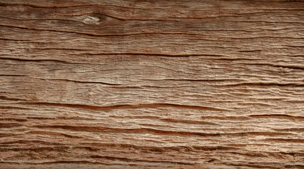 Textur des Rindenholzes als natürlicher Hintergrund — Stockfoto
