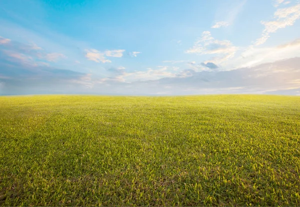 Bel cielo mattutino e vuoto uso erba verde come sfondo ba — Foto Stock