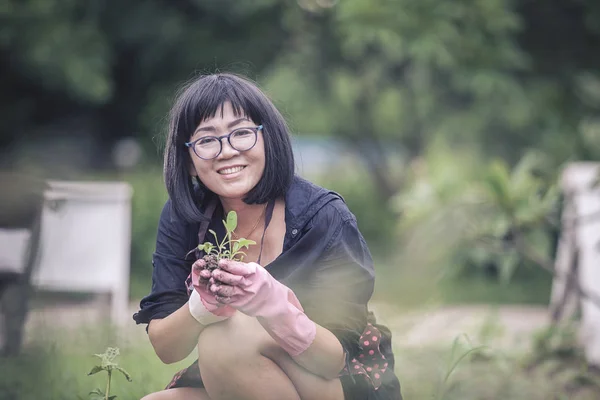 Asyalı kadın ev bahçesinde organik sebze dikimi — Stok fotoğraf