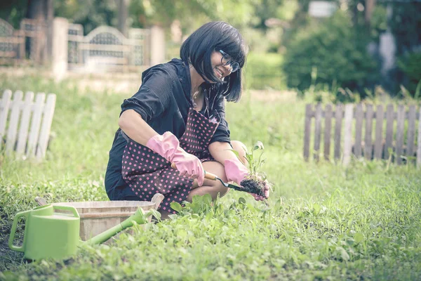 Asiatisk kvinna plantering ekologiska grönsaker i hem trädgård — Stockfoto