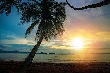 güzel günbatımı gökyüzü ve Hindistan cevizi deniz plaj trat ili Tay