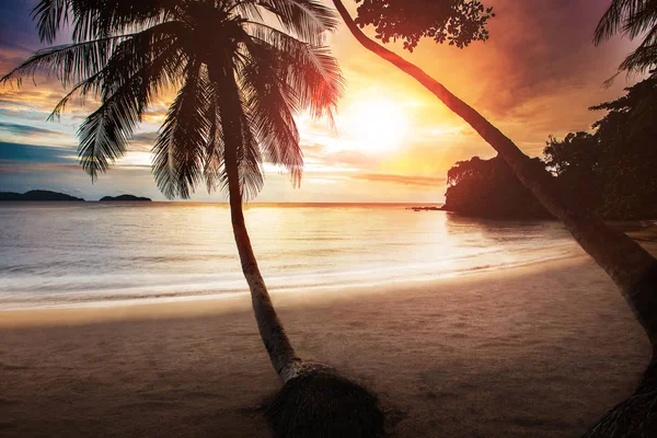 Belo céu pôr do sol na praia do mar com par de coqueiros — Fotografia de Stock