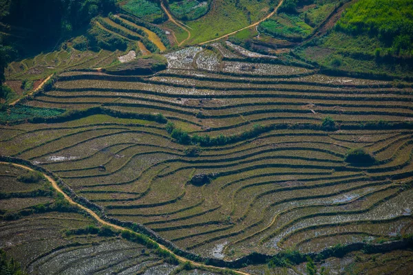 Letecký pohled na rýžové terasy v Severním Vietnamu sapa — Stock fotografie