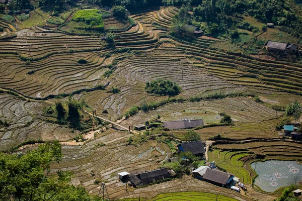 Letecký pohled na rýžové terasy v Severním Vietnamu sapa — Stock fotografie