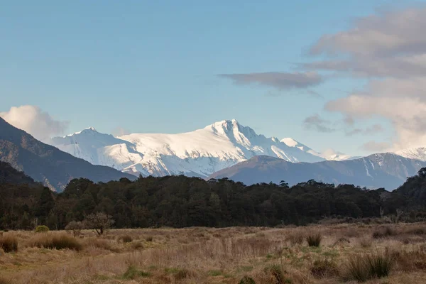 Aspiring national park west coast new zealand — Stock Photo, Image