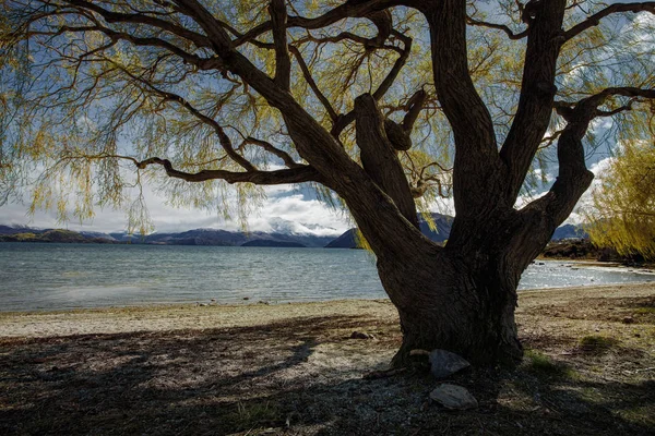 Krásné scénické jezera wanaka nejoblíbenější cestování destinati — Stock fotografie