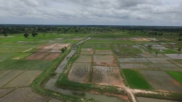 Vista Aérea Campo Agrícola Província Mahasarakham Nordeste Tailândia — Vídeo de Stock