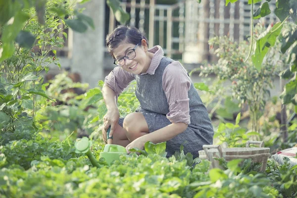 Asiático mulher toothy sorrindo rosto em casa jardinagem trabalho — Fotografia de Stock