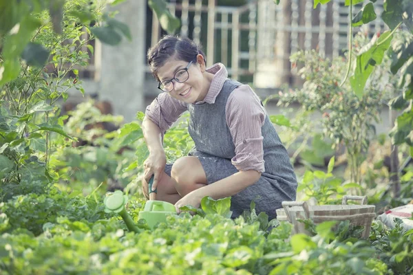 Asian woman toothy smiling face in home gardening working — Stock Photo, Image