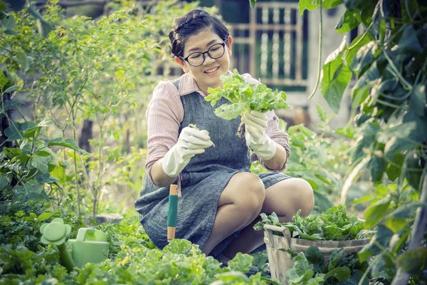 Asiático mulher toothy sorrindo rosto em casa jardinagem trabalho — Fotografia de Stock