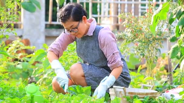 Asiatin Arbeitet Mit Entspannten Emotionen Heimischen Garten — Stockvideo