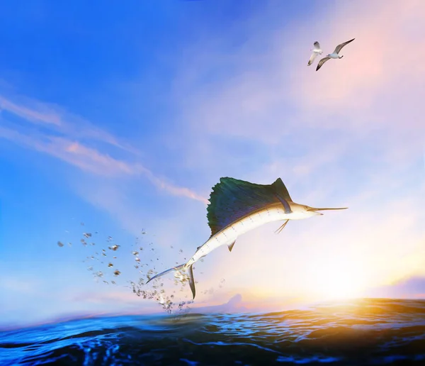 Blue ,black marlin fish jumping to mid air over blue sea and sea — Stock Photo, Image