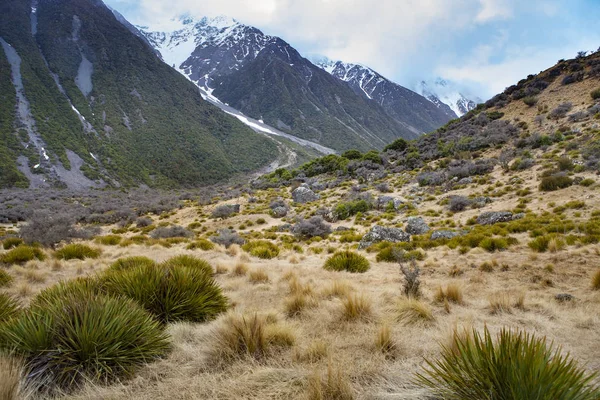 aoraki - mt.cook Milli Parkı Southland'deki / daki doğal peyzaj