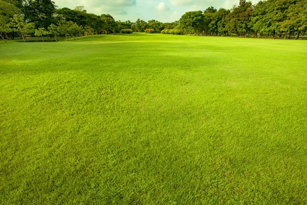 Bom ambiente grama verde chão — Fotografia de Stock