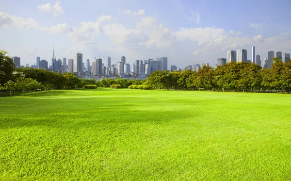 Wide green grass ground of public park against high building in — Stock Photo, Image