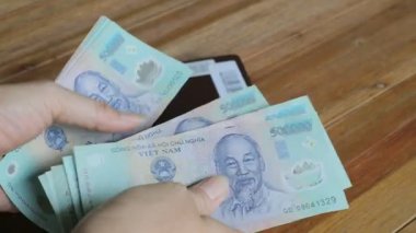 Vietnam dong banknot sayma el