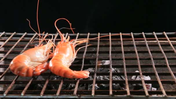 Camarones Parrilla Estufa Barbacoa — Vídeos de Stock