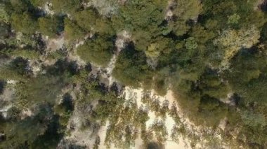 Payam Adası 'ndaki Mangrove Ormanı' nın havadan görünüşü ve Tayland 'daki Sea Ranong Bölgesi.