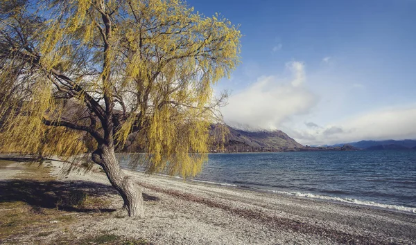 Natursköna lake wanaka southland nya Zeeland — Stockfoto