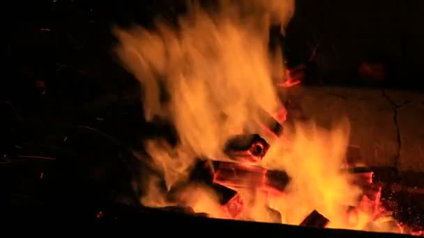 Quemar Carbón Vegetal Carbón Daño Energía Fábrica Fuego Llama Inflamable — Vídeo de stock