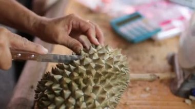 Satıcı sattığı için tatlı durian meyve test