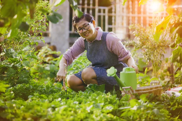 Asiatisk Kvinna Som Arbetar Ekologisk Hemträdgård — Stockfoto