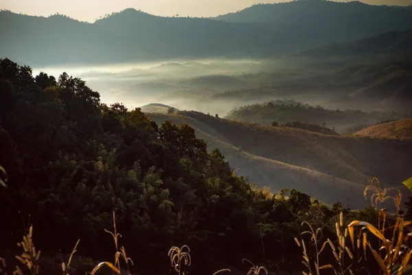 Mlhavé Vznášející Nad Pohořím Severu Thajska — Stock fotografie