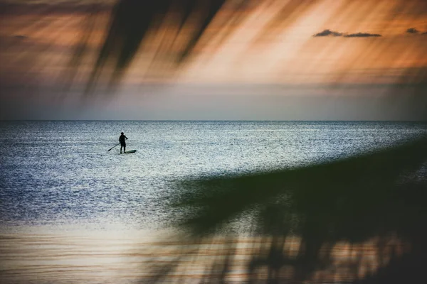 Άνθρωπος Ιστιοπλοΐα Surf Σκάφους Πάνω Από Όμορφο Ηλιοβασίλεμα Ουρανό Θαλασσογραφία — Φωτογραφία Αρχείου