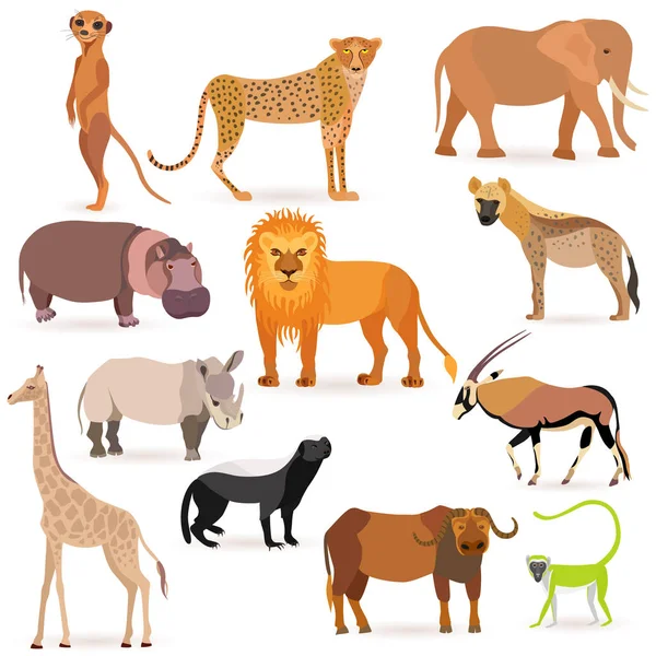 Velký set s africkými zvířaty — Stock fotografie