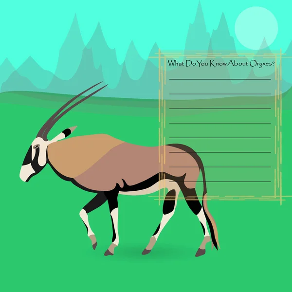 Africano Oryx Gazella ou Gemsbok — Vetor de Stock