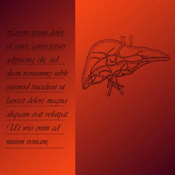 문서는 Human Liver Place Text 내용이다 인간의 구원을 상징한다 인간의 — 스톡 벡터