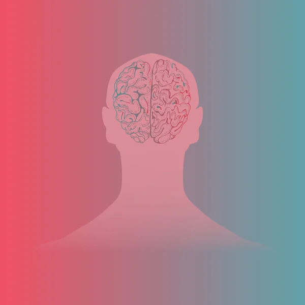Cerebro humano colocado en la silueta de cabeza de hombre — Foto de Stock