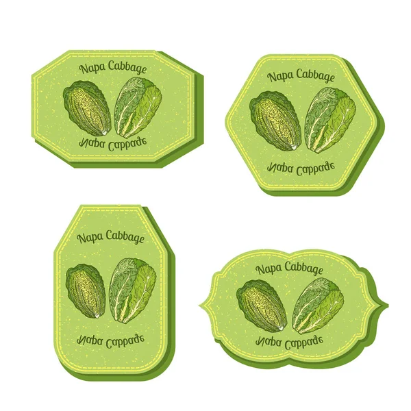 Комплект с четырьмя прямоугольными этикетками для фруктов авокадо — стоковый вектор