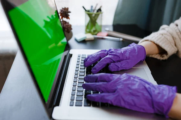 Coronavirus concept. Hands with violet protective gloves typing on laptop keyboard. Device with green screen. Quarantine, social isolation, stay home, work from home.