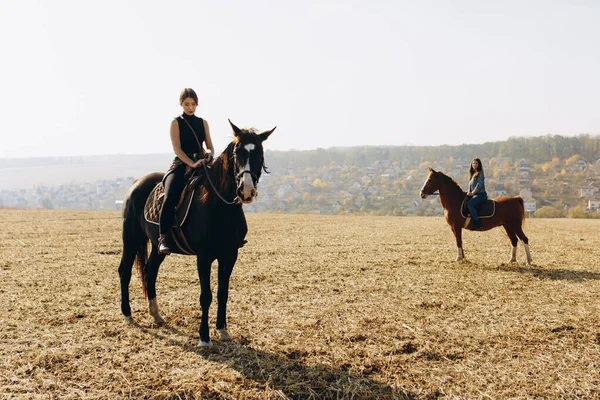 広いオープンフィールドと森を見下ろす後ろから乗馬 田舎の馬クラブで過ごすための無料の時間を楽しむ友人 スポーツ リゾート 牧場のコンセプト — ストック写真