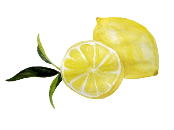 Illustration aquarelle avec citron et feuilles — Photo