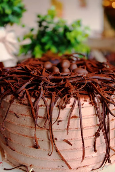 Schokoladenkuchen mit Schokoladeneiern darauf, mit grünen Pflanzen darin — Stockfoto