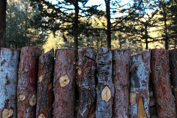 Doğal ahşap çit ahşap ve orman backg üzerinde kaba parçaları — Stok fotoğraf