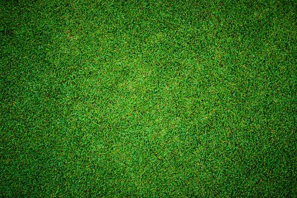 Fundo e textura do belo padrão de grama verde — Fotografia de Stock