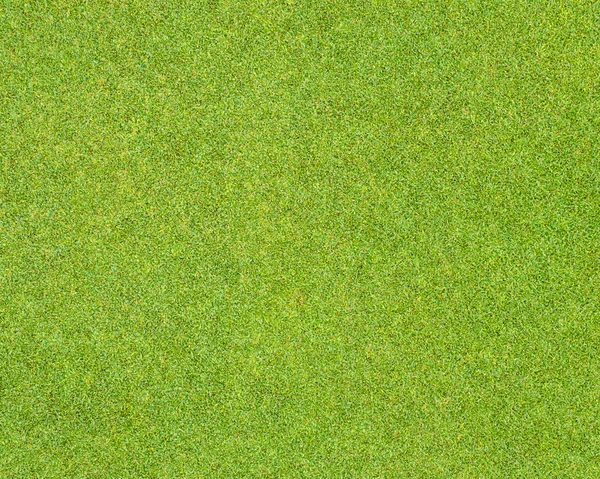 Fundo e textura do padrão de grama verde do campo de golfe — Fotografia de Stock