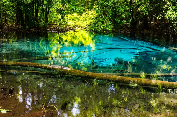 Sa nam phut nationalparken i thailand — Stockfoto