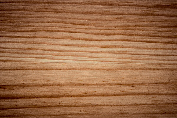 фон поверхности сосны
