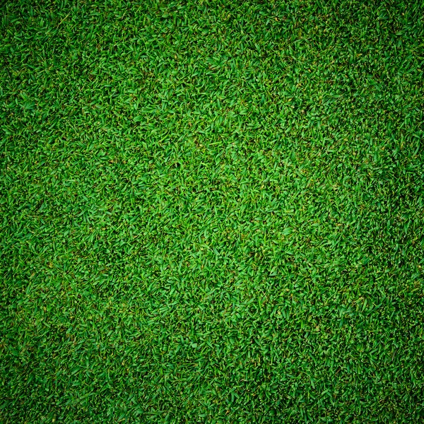 Textura de belo padrão de grama verde de golfe — Fotografia de Stock